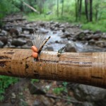 Mini-Hopper