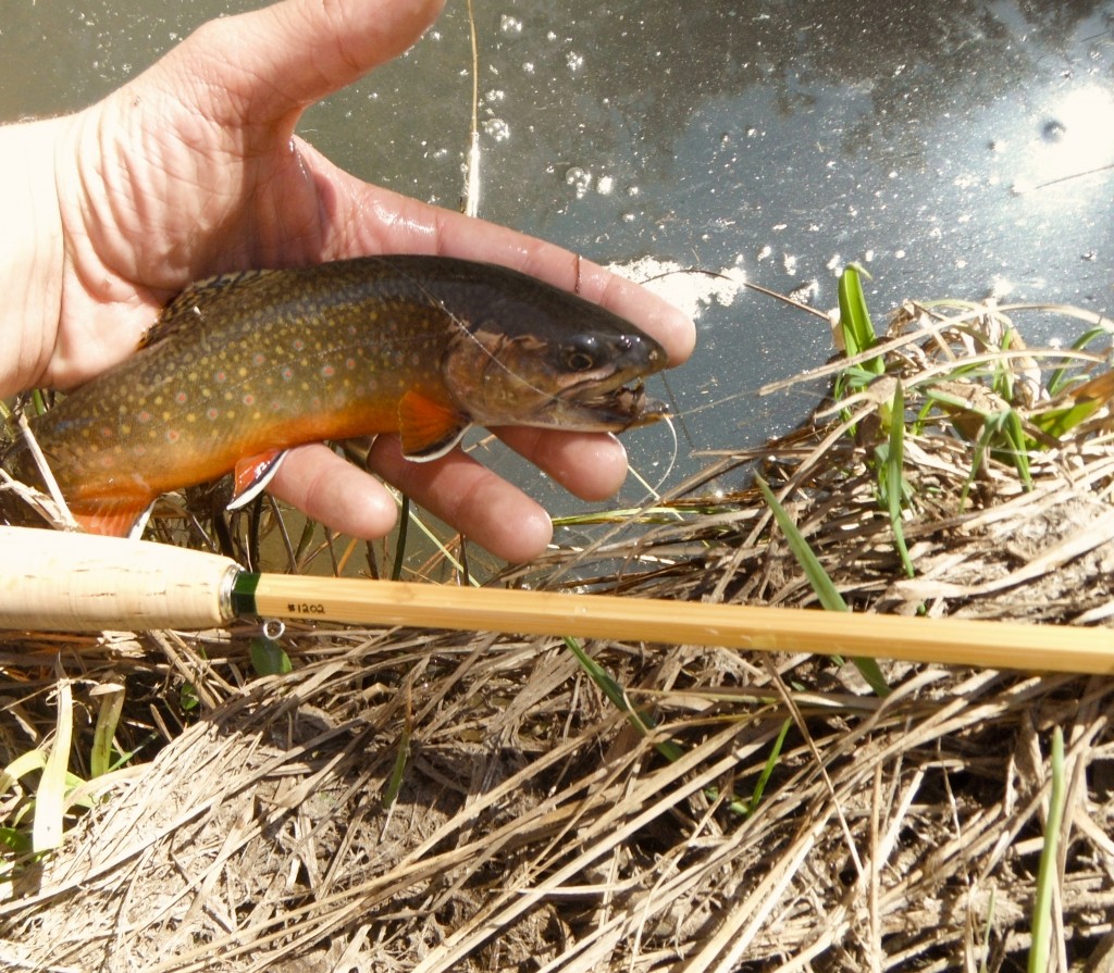 Fall River Fly Rod