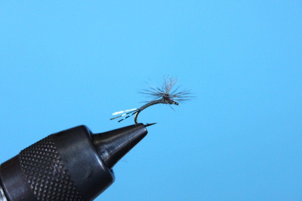 Sparklebutt Parachute Sparklebutt Parachute