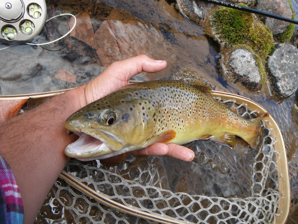 Fryingpan River Colorado Fly Fishing T-Shirt