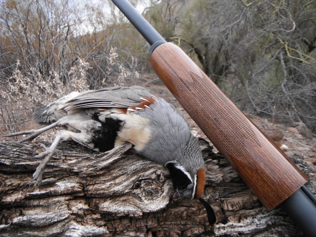 quail hunting