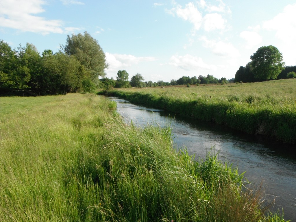 Fly Fishing in France