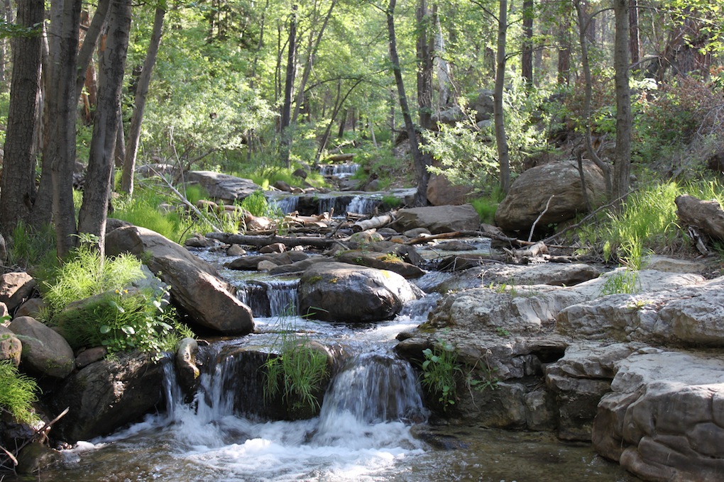 How To Build a Fly Rod Tube - Arizona WanderingsArizona Wanderings