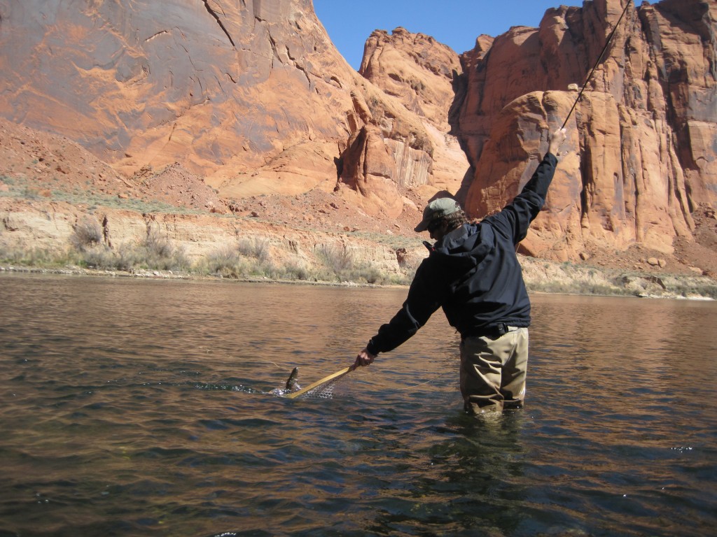 Fly Fishing The Colorado River at Lee's Ferry 