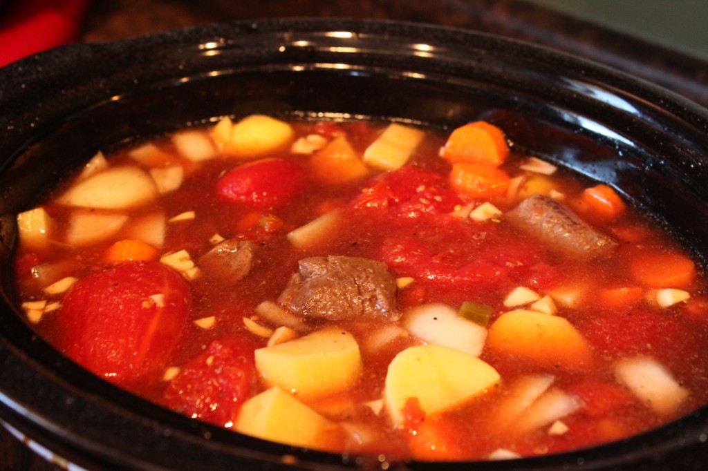 Venison Stew