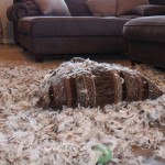 The work of a monster
