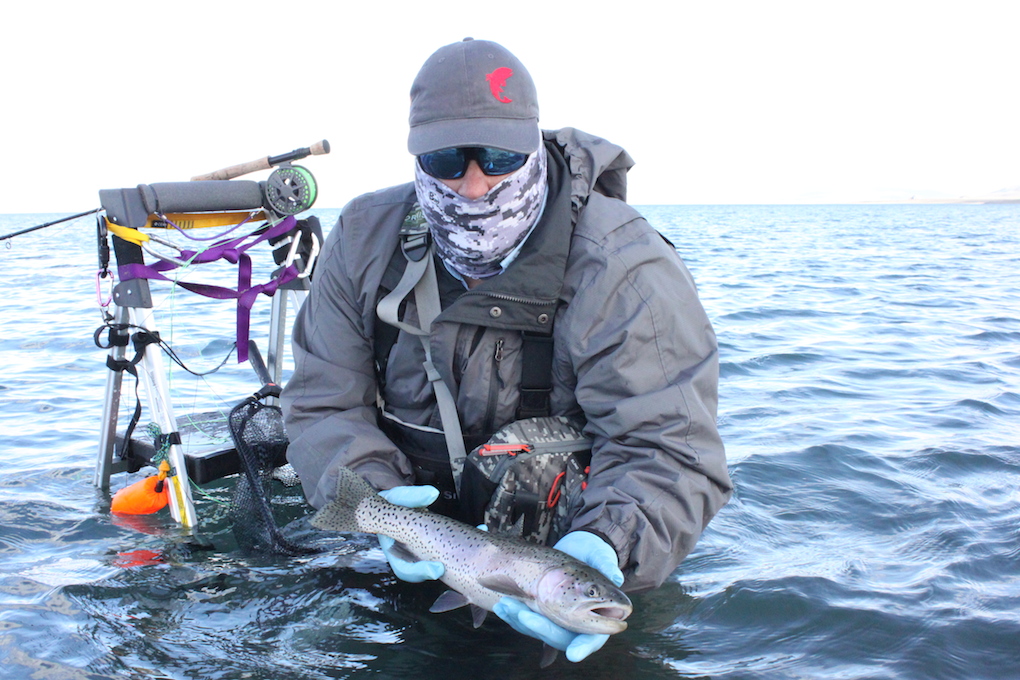 Fly Fishing Pyramid Lake: The Basics - Arizona WanderingsArizona