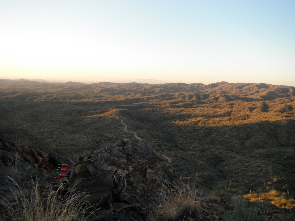 Javelina Country