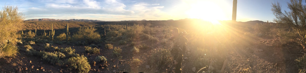 Javelina Hunting