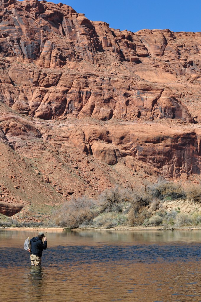 Arizona Fly Fishing