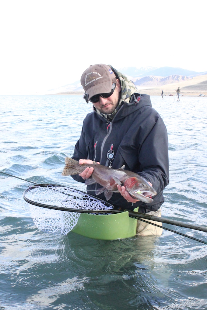 Fly Fishing Pyramid Lake: The Basics - Arizona WanderingsArizona