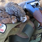 Mearns Quail