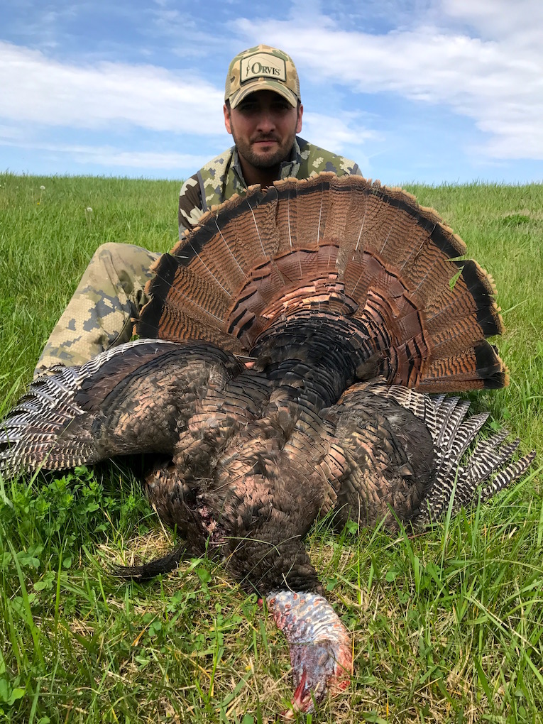 Missouri Turkey Hunting Eastern Gobblers LaptrinhX / News