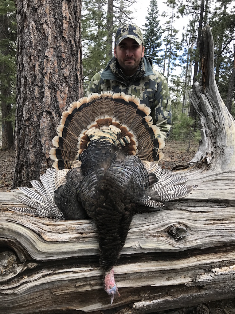 Arizona Turkey Hunting Daily Double Arizona WanderingsArizona Wanderings