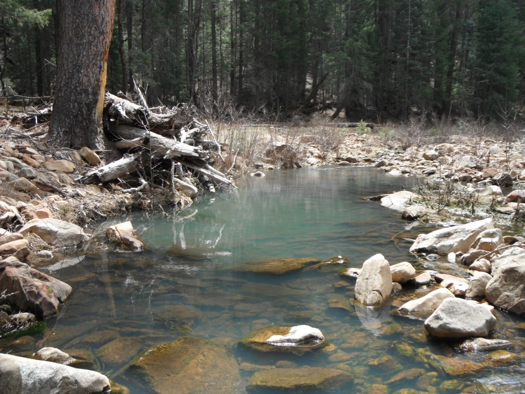 Creek Pool