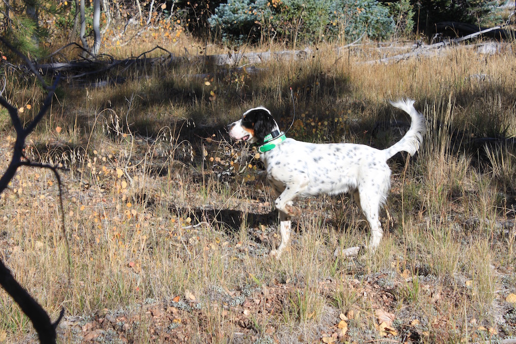 Arizona Wanderings - Page 12 of 77 - fishing, hunting, and roaming the  SouthwestArizona Wanderings