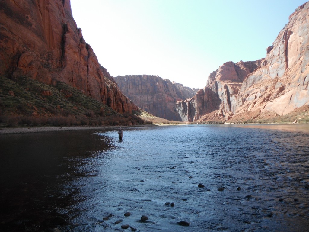 Lees Ferry Fly Fishing