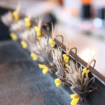 Skwala Stonefly Fly Pattern