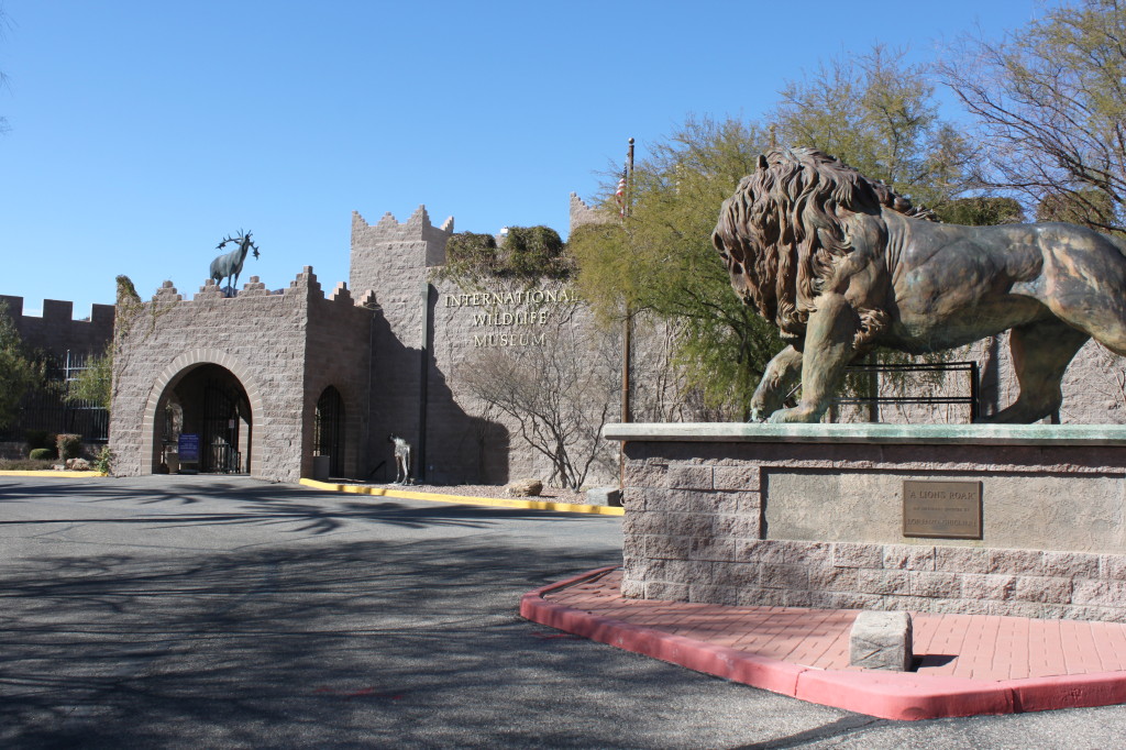 SEI International Wildlife Museum