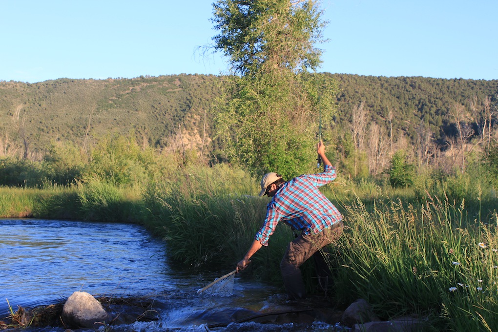 Rambling Review - Thomas & Thomas Heirloom Fiberglass Fly Rod