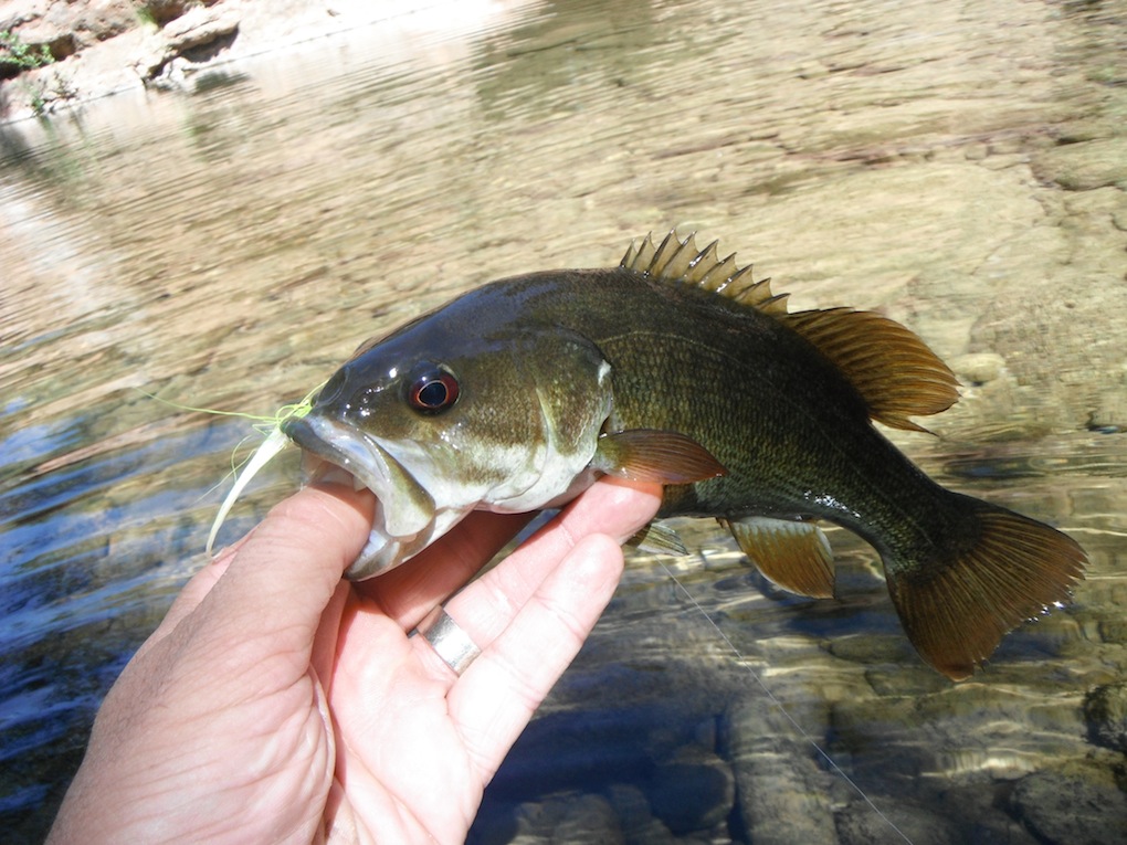 The Smallmouth Fly Box: July 2012