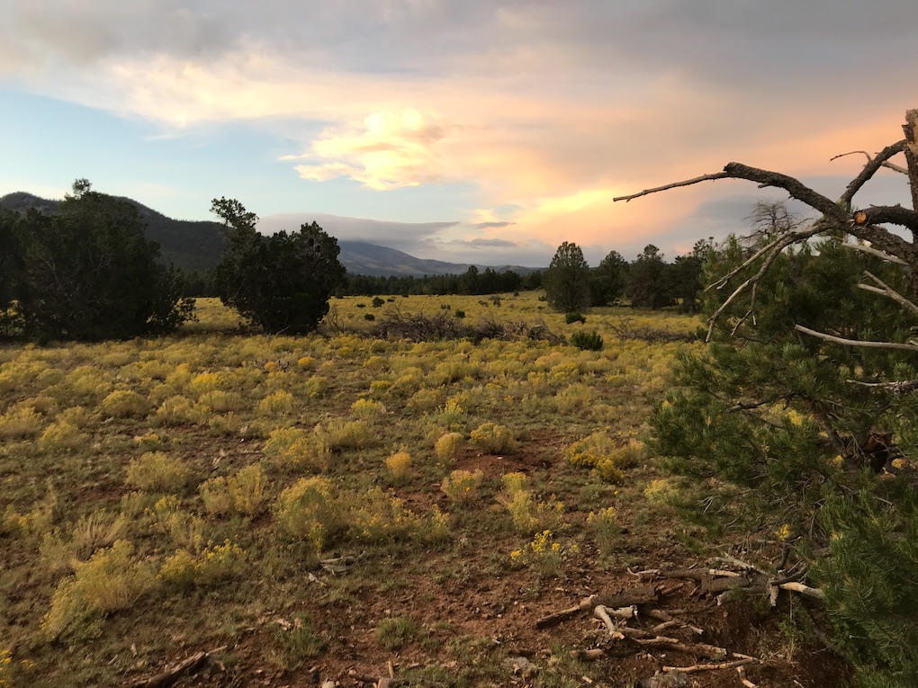 Hunting Stands and Thunderstorms - Arizona WanderingsArizona