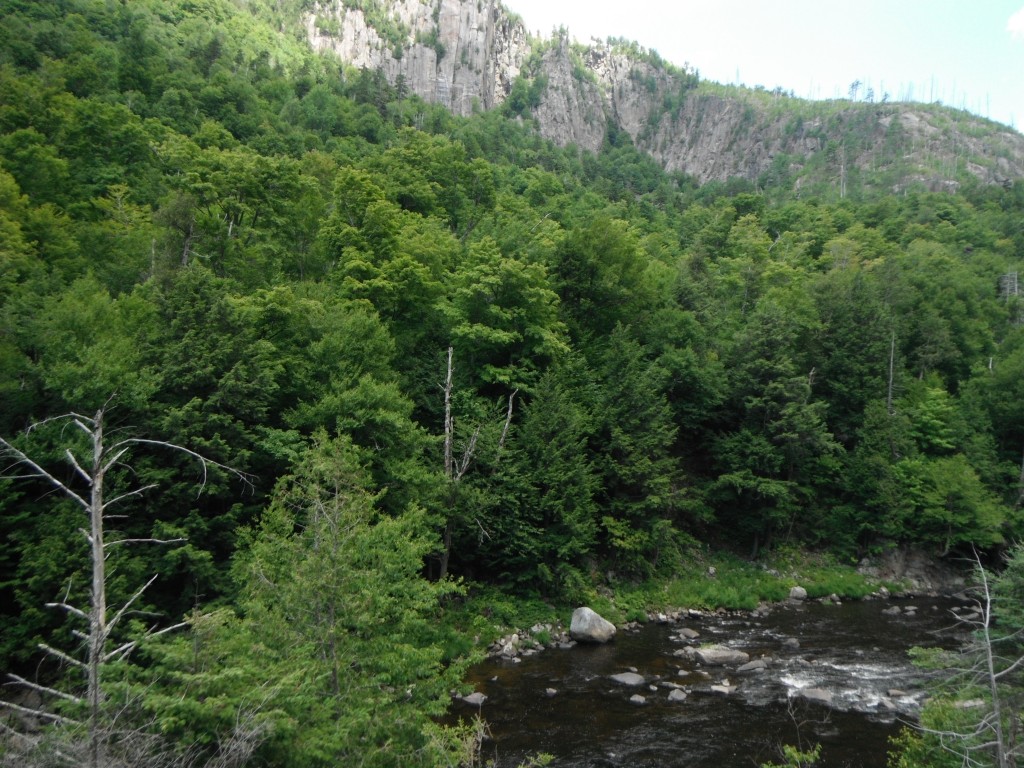 The Ausable River 