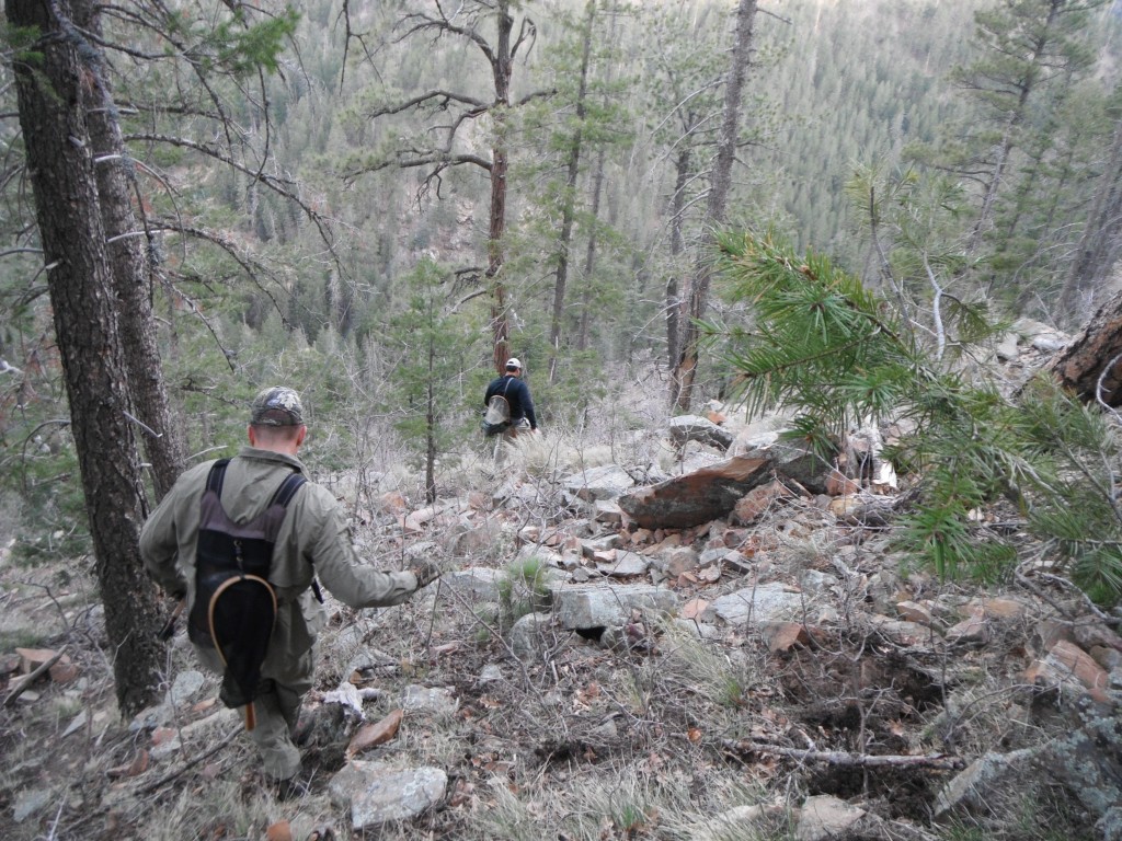 Fly Fishing Arizona: Spring Backpacking (Day 1) - Arizona WanderingsArizona  Wanderings