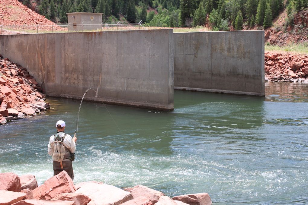 Fly Fishing Colorado: The Frying Pan and Roaring Fork - Arizona  WanderingsArizona Wanderings