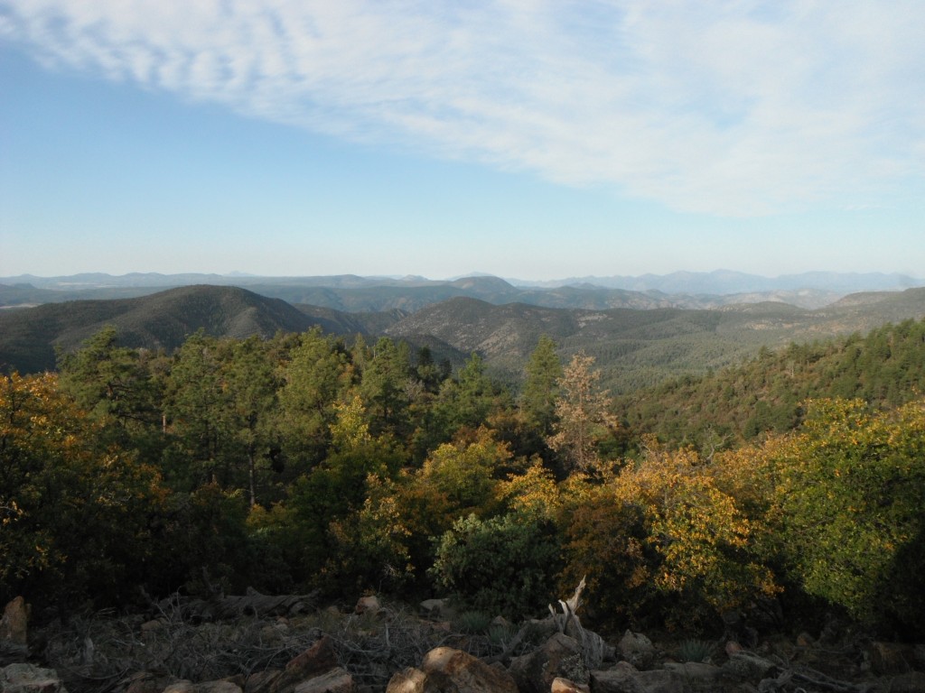 Arizona Turkey Country