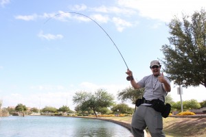 Fat Guy Fly Fishing - Arizona WanderingsArizona Wanderings