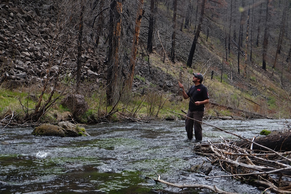 Agua Fria Alchemy Bamboo Fly Rod