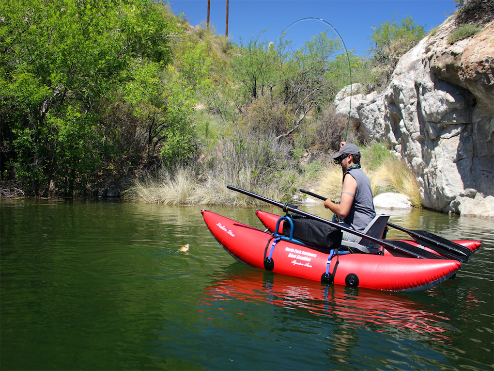 arizona fishing and game