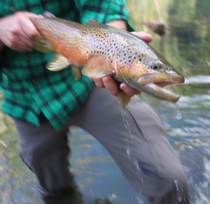 Hunting Stands and Thunderstorms - Arizona WanderingsArizona Wanderings