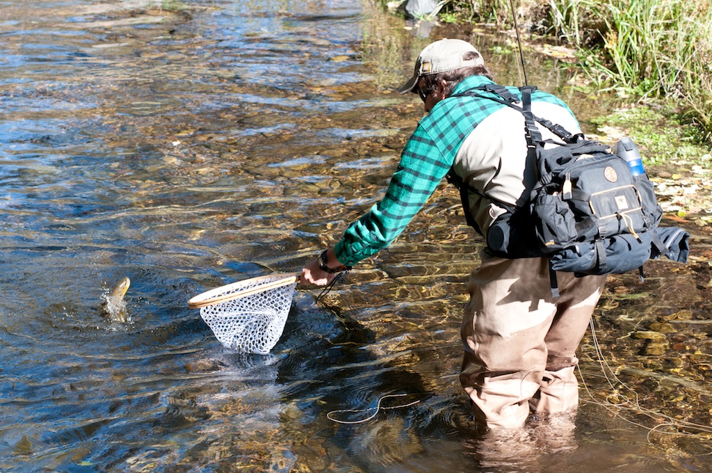 Oak Creek Fly fishing